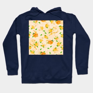 Orange fruit Hoodie